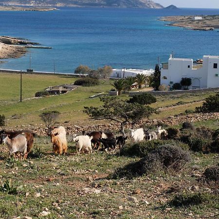 Alkionides Studios Koufonisia Buitenkant foto